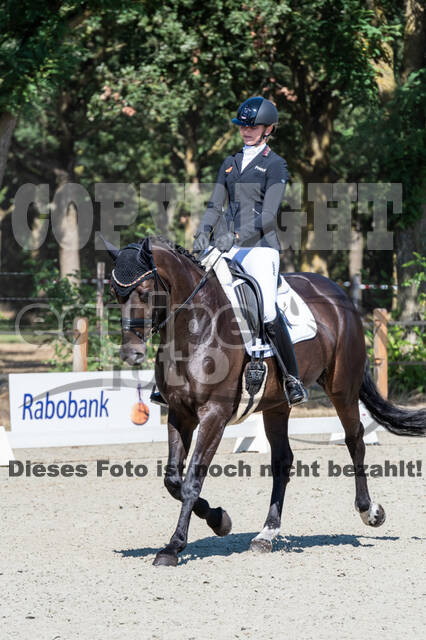 Kronenberg - De Peelbergen (August 2020)