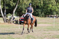 Vielseitigkeitsturnier RSV St. Hubertus Wesel Obrighoven