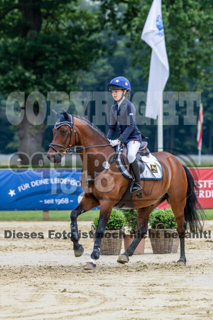 Goldene Schärpe 2021 - Ponys