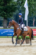Goldene Schärpe 2021 - Ponys