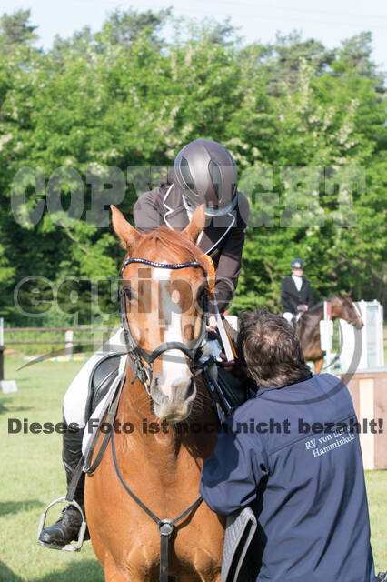 Vielseitigkeitsturnier ZRuFV von Lützow Hamminkeln