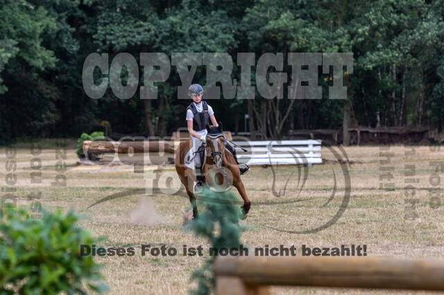 Late-Entry Vielseitigkeit Hamminkeln/Wesel (01.+02.08.2020)