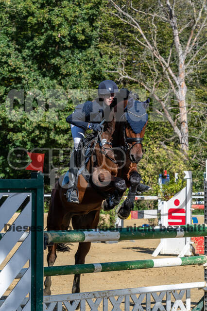 RFV Dinslaken-Hiesfeld (Herbstturnier)