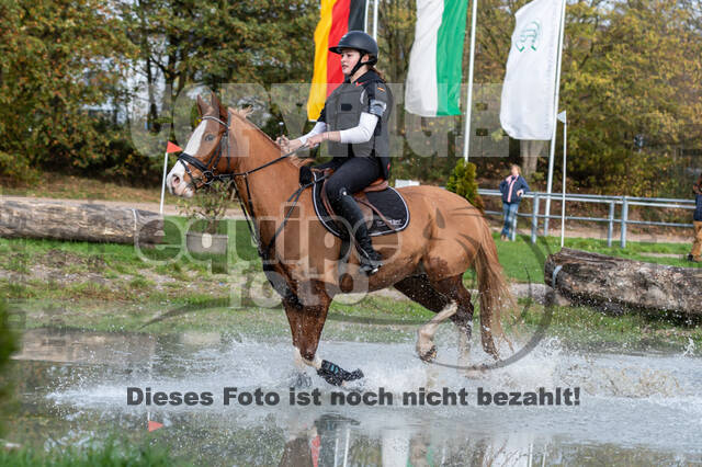 IGV Lehrgang der Sieger der Cups mit Frank Ostholt
