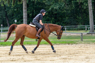Hunter Geländetraining 10.07.2021 (Sonsbeck)