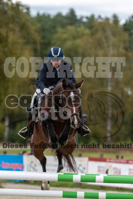 Deutsche Meisterschaft Vielseitigkeit (Luhmühlen)