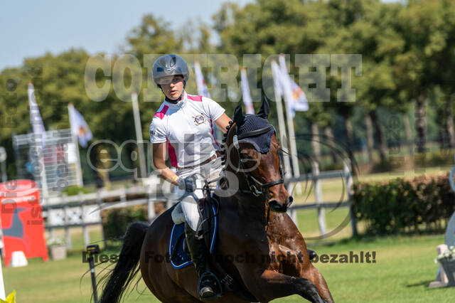 Kronenberg - De Peelbergen (August 2020)