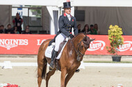 FEI European Championship Eventing 2017