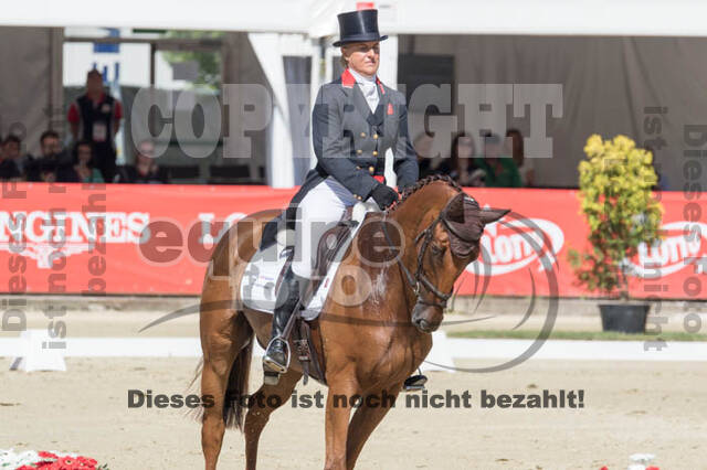 FEI European Championship Eventing 2017