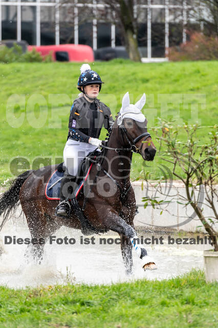 Goldene Schärpe 2020 - Pferde