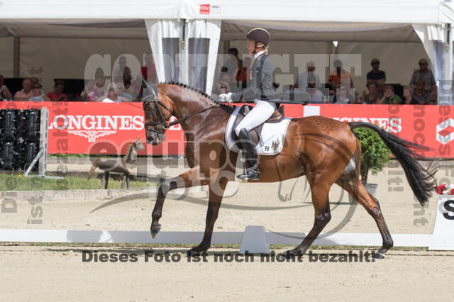 FEI European Championship Eventing 2017