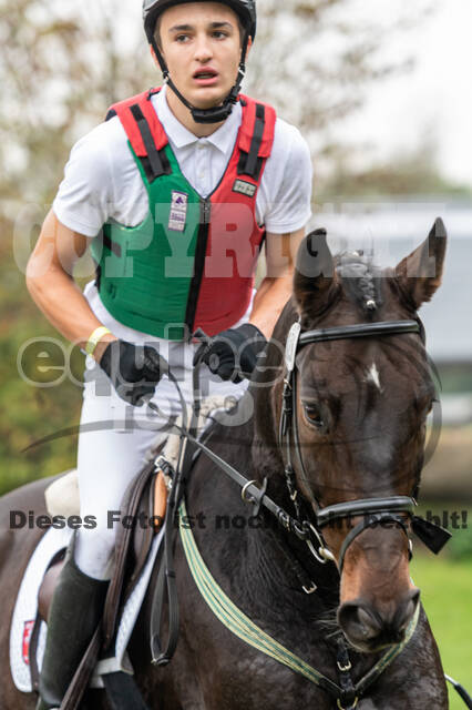 Goldene Schärpe 2020 - Pferde