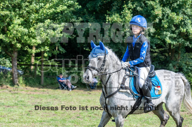 Goldene Schärpe 2021 - Ponys