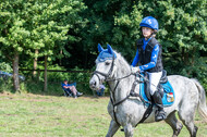 Goldene Schärpe 2021 - Ponys