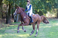 Vielseitigkeitsturnier RSV St. Hubertus Wesel Obrighoven