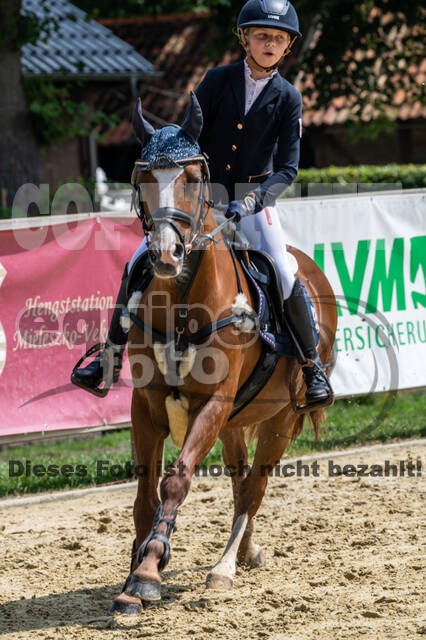 Goldene Schärpe 2021 - Ponys