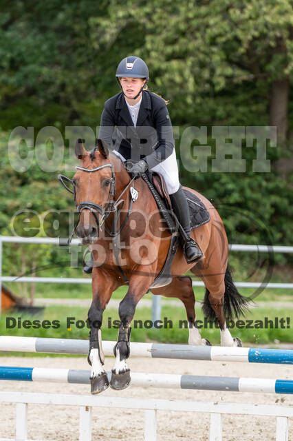 Late-Entry-Vielseitigkeit Langenfeld (06.+07.07.2020)