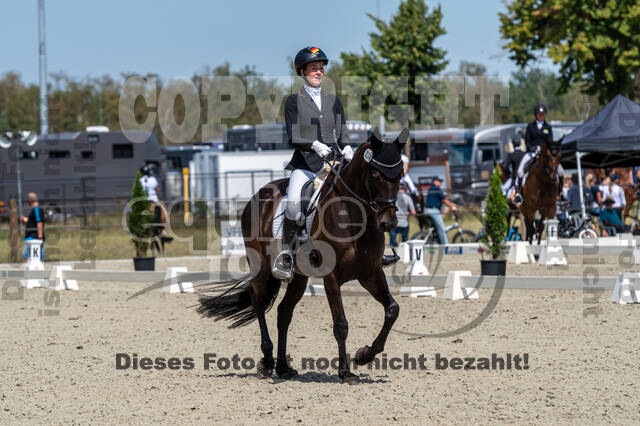 Kronenberg - De Peelbergen (August 2020)