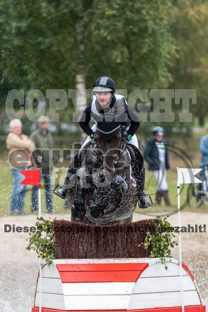 Deutsche Meisterschaft Vielseitigkeit (Luhmühlen)