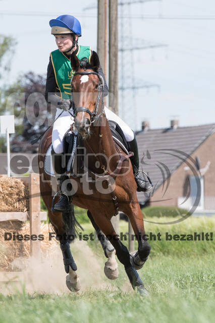 Vielseitigkeitsturnier ZRuFV von Lützow Hamminkeln