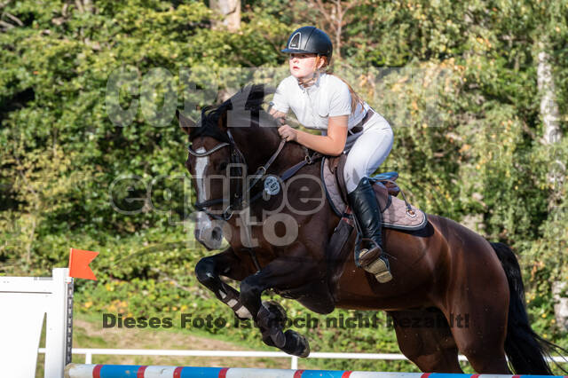 RFV Dinslaken-Hiesfeld (Herbstturnier)