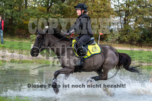 IGV Lehrgang der Sieger der Cups mit Frank Ostholt