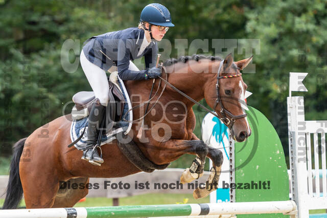 Vielseitigkeit RSV Wesel Obrighoven (26.+27.09.2020)