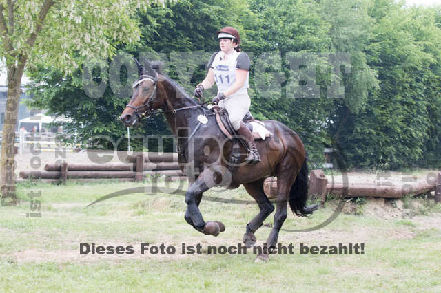 Vielseitigkeitsturnier ZRFV von Lützow Hamminkeln