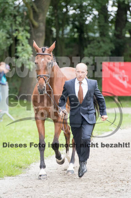 FEI European Championship Eventing 2017