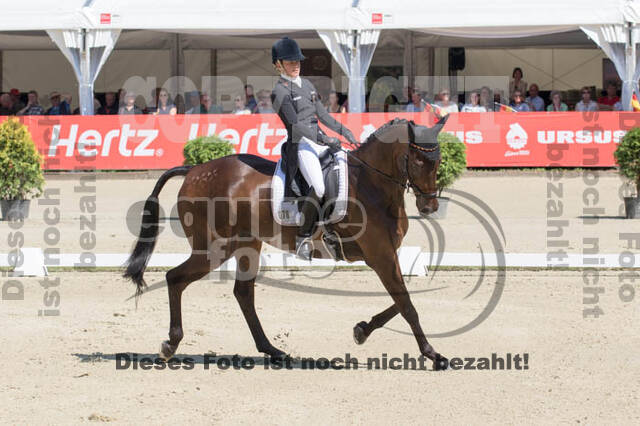 FEI European Championship Eventing 2017