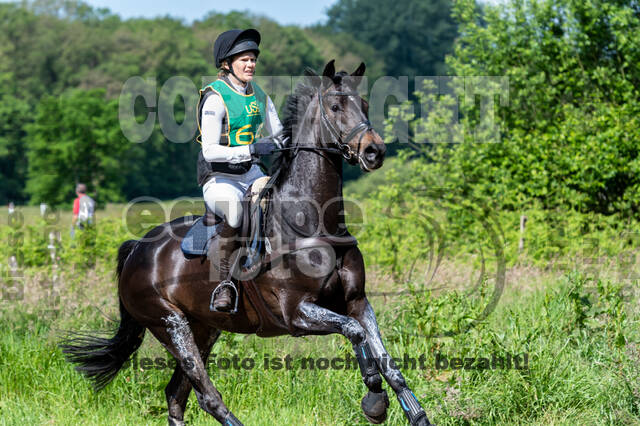 Westerstede Horse Trials (10.-13.06.2021)