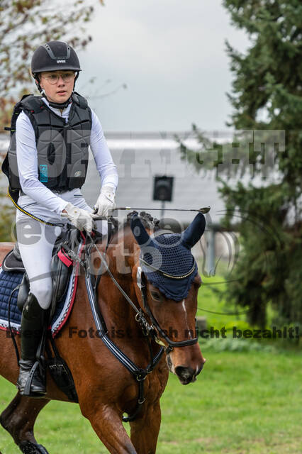 Goldene Schärpe 2020 - Pferde