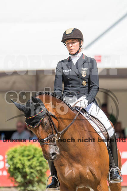FEI European Championship Eventing 2017