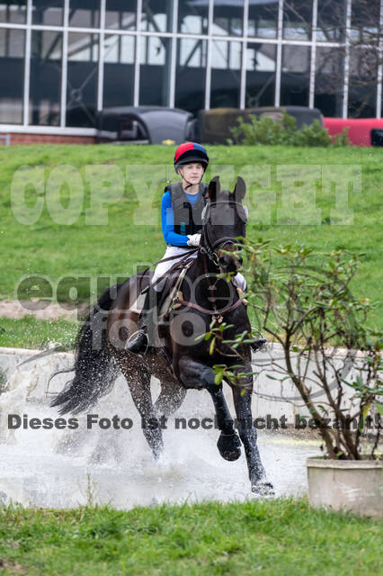 Goldene Schärpe 2020 - Pferde