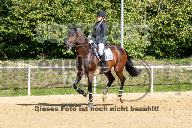 RFV Dinslaken-Hiesfeld (Herbstturnier)