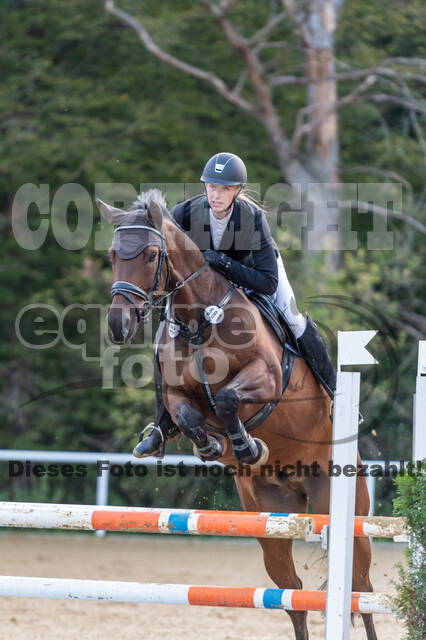 RFV Dinslaken-Hiesfeld (Herbstturnier)