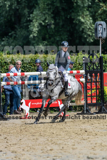 Goldene Schärpe 2021 - Ponys