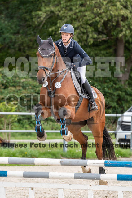 Late-Entry-Vielseitigkeit Langenfeld (06.+07.07.2020)