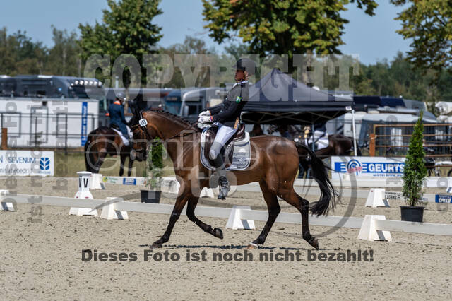 Kronenberg - De Peelbergen (August 2020)