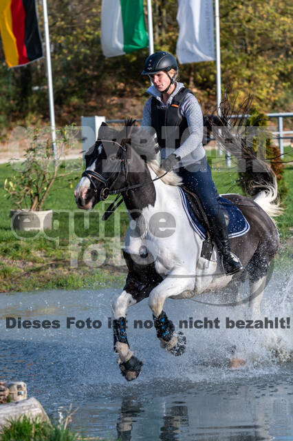 IGV Lehrgang der Sieger der Cups mit Frank Ostholt