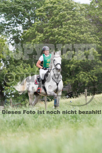 Vielseitigkeitsturnier ZRuFV von Lützow Hamminkeln