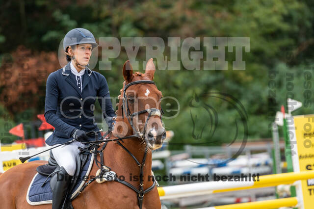 Vielseitigkeit RSV Wesel Obrighoven (26.+27.09.2020)