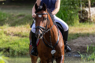 Late-Entry Vielseitigkeit Hamminkeln/Wesel (01.+02.08.2020)