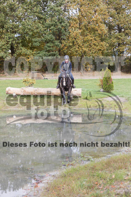 IGV Lehrgang der Sieger der Cups mit Frank Ostholt