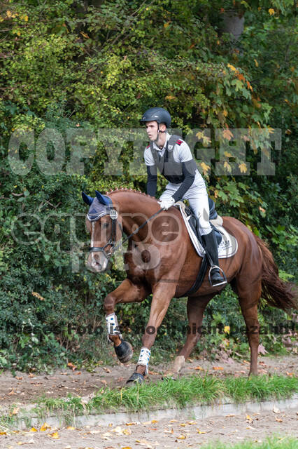 Goldene Schärpe 2020 - Pferde