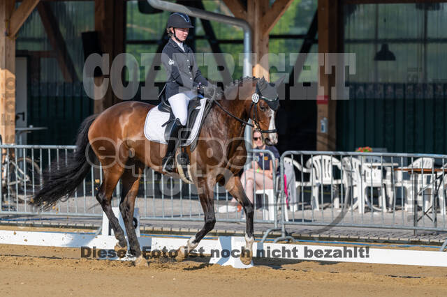 Westerstede Horse Trials 2021