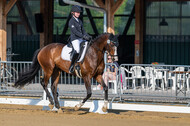 Westerstede Horse Trials 2021