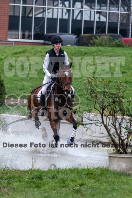 Goldene Schärpe 2020 - Pferde