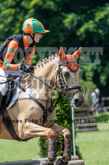 Goldene Schärpe 2021 - Ponys