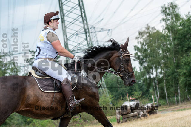Late-Entry Vielseitigkeit Hamminkeln/Wesel (01.+02.08.2020)